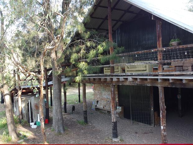 Photo 5 for Barn of Arts