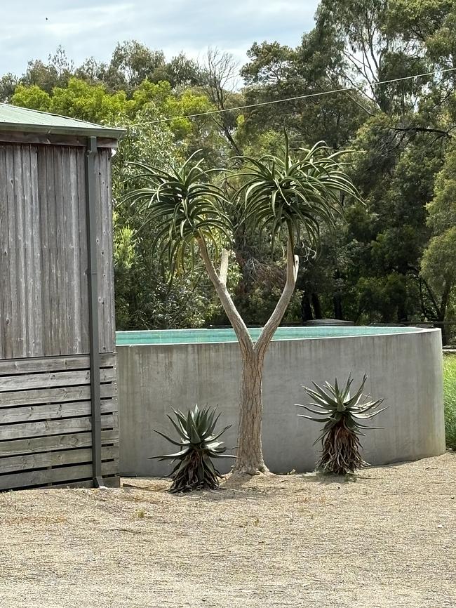 Rustic Cabin in Point Leo Beach house for Rent in Point Leo