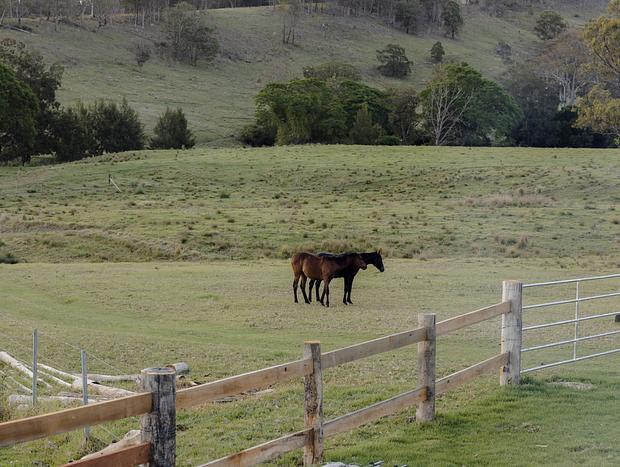 Photo 27 for Melodies of Wallaringa Farm