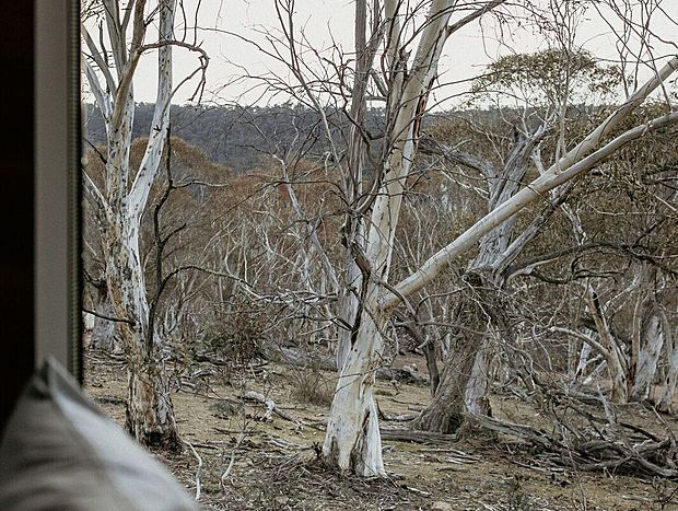 Photo 24 for Big Yard Escapes – Off-grid Tiny House, Bushland