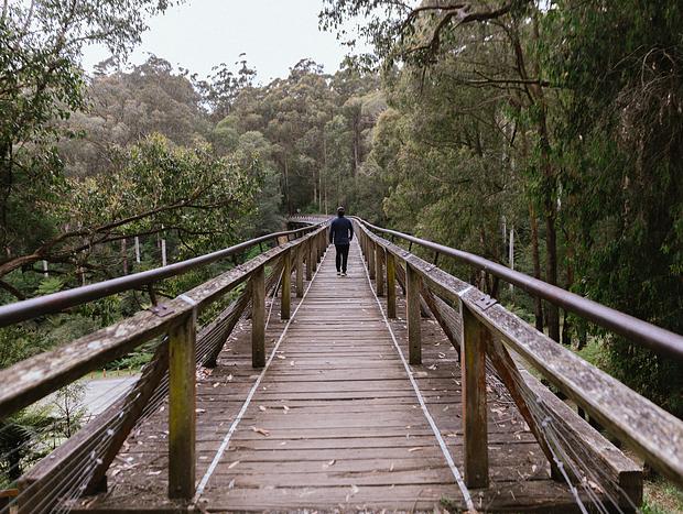 Photo 1 for Noojee Trestle Bridge