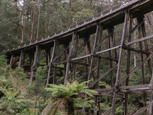 Photo 2 for Noojee Trestle Bridge