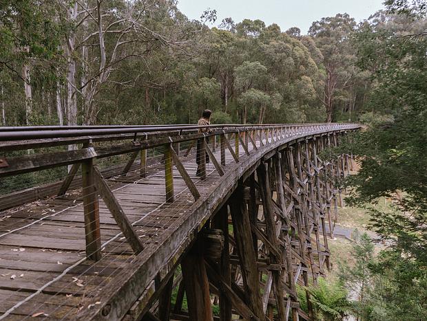 Photo 3 for Noojee Trestle Bridge