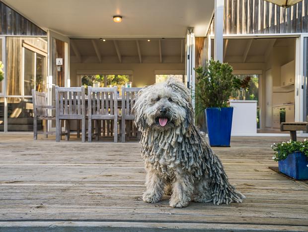 Photo 10 for Warrawee Beach Retreat - Sunday for Free! *Conditions apply - see below.