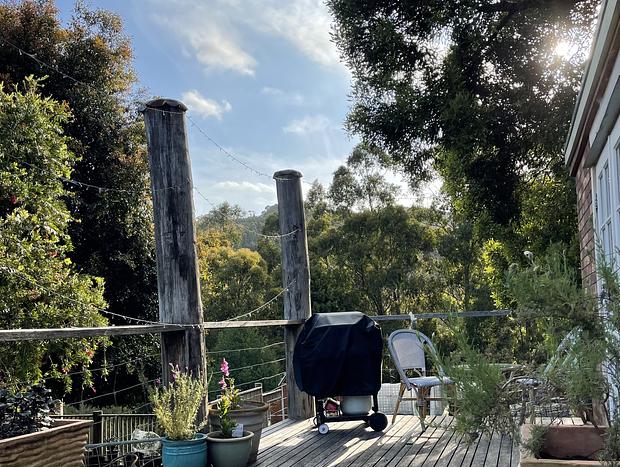 Photo 4 for Wild Falls Animal Farmstay - Bungalow