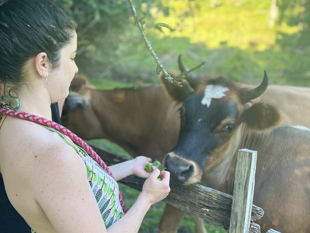Photo 16 for Wild Falls Animal Farmstay - Bungalow