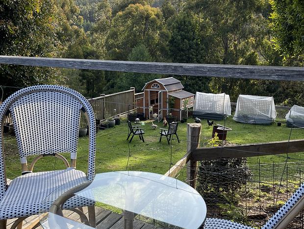 Photo 5 for Wild Falls Animal Farmstay - Bungalow