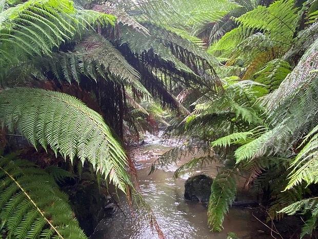 Photo 9 for Wild Falls Animal Farmstay - Bungalow