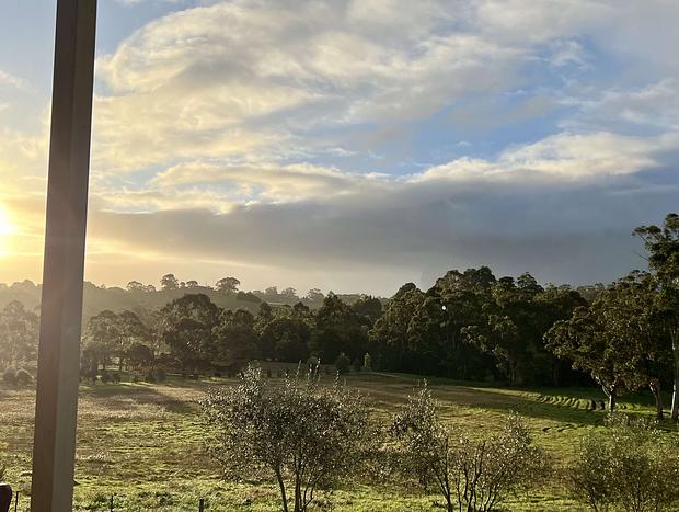 Photo 46 for Citrus Grove: private/architectural/dog-friendly/views/acreage