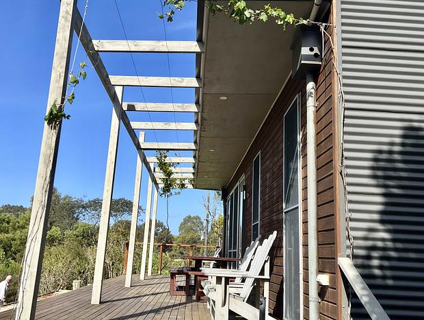 Photo 26 for Citrus Grove: private/architectural/dog-friendly/views/acreage