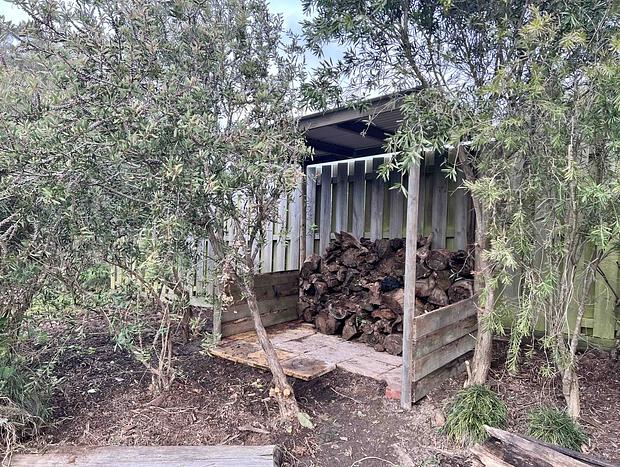 Photo 42 for Citrus Grove: private/architectural/dog-friendly/views/acreage