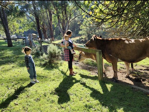 Photo 1 for Wild Falls Animal Farmstay - Cottage