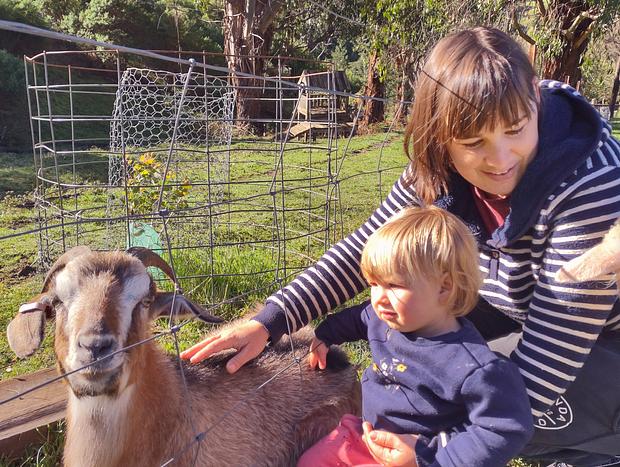 Photo 21 for Wild Falls Animal Farmstay - Cottage