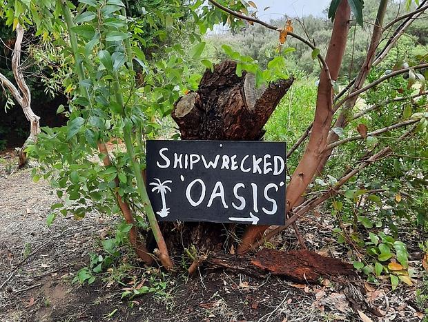 Photo 18 for Shipwrecked Oasis