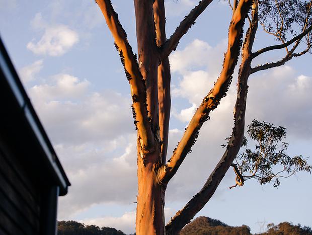 Photo 21 for Beauty At Banksia