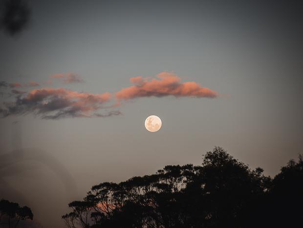 Photo 17 for Beauty At Banksia