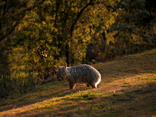 Photo 27 for Beauty At Banksia