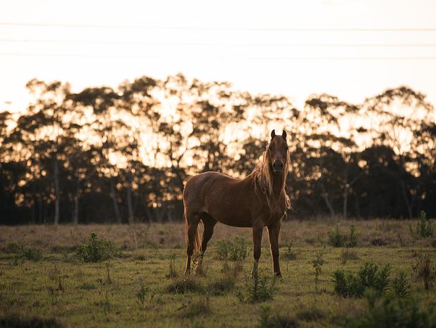 Photo 13 for Beauty At Banksia