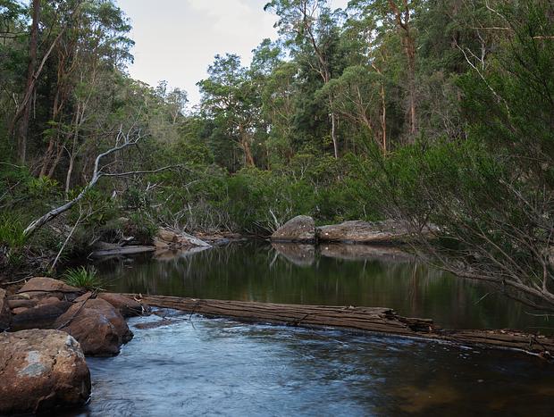Photo 21 for Bush Getaway - Tootie Creek House at Koala Gully