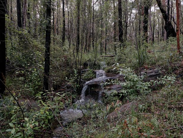 Photo 20 for Bush Getaway - Tootie Creek House at Koala Gully