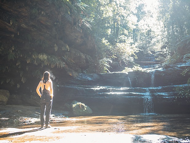 Photo 3 for Bushwalking to Terrace Creek Falls