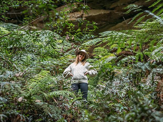 Photo 5 for Hiking to Water Nymphs Dell