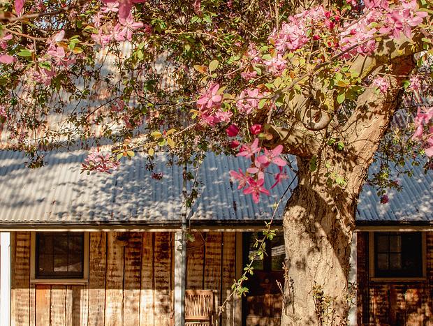 Photo 10 for Mutton Falls- Historic Homestead by the Fish River