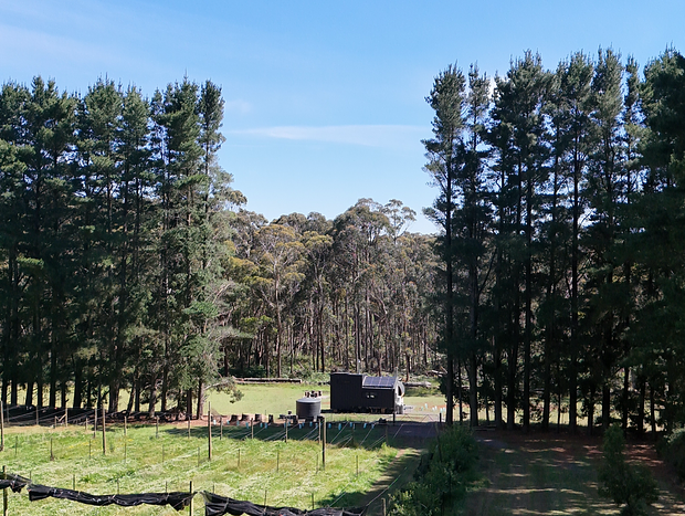 Photo 16 for Stylish Tiny Home in Trentham with a Luxurious Sauna!