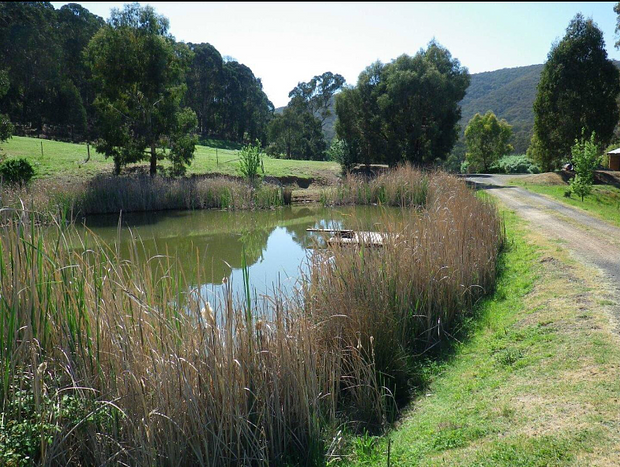 Photo 24 for Earthen home in Bonnie Doon, Australia