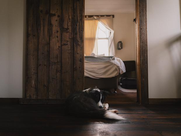 Photo 8 for A Cosy Cottage in Kangaroo Valley