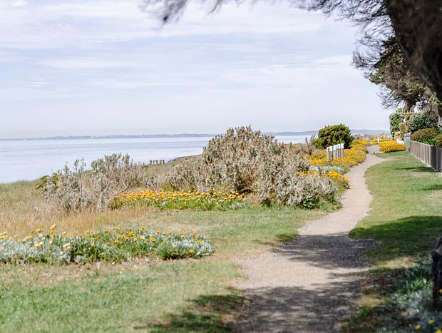 Photo 10 for Sanctuary by the Sea