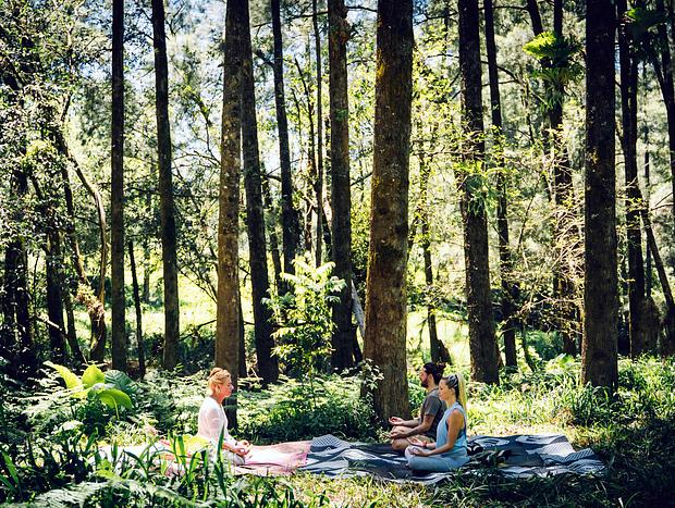 Photo 17 for Nulla Nulla Blacksmiths Rest Cabin - Romantic Woodland Creekside Doggie friendly