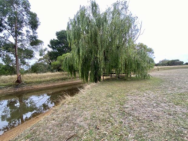 Photo 38 for Bells Beach Stables