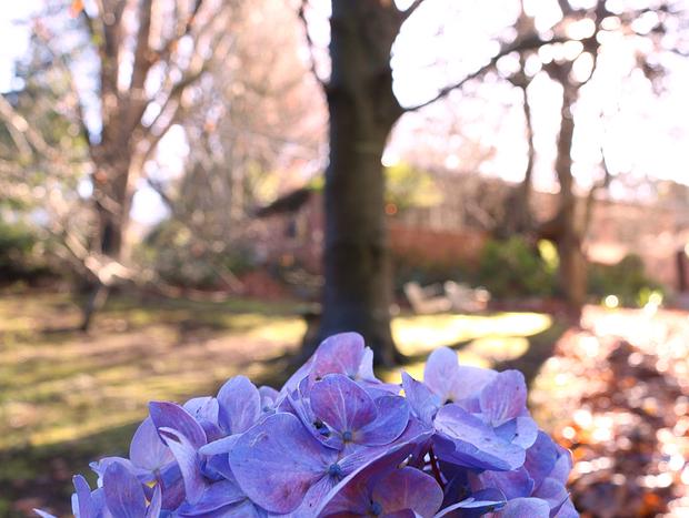Photo 28 for Romantic Forest Escape at The Beeches in Olinda