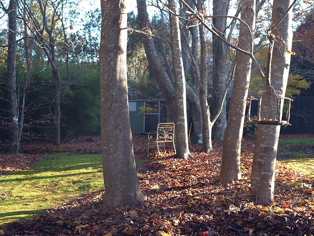 Photo 19 for Romantic Forest Escape at The Beeches in Olinda