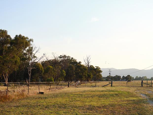 Photo 63 for Shawwood Cottage