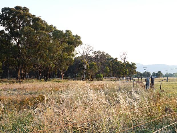 Photo 98 for Shawwood Cottage