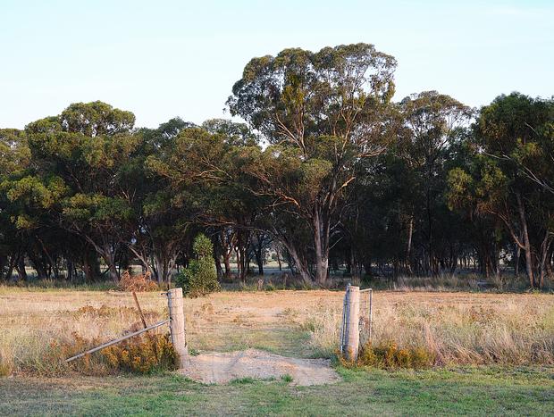 Photo 102 for Shawwood Cottage