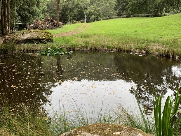 Photo 9 for Twin Creeks Rainforest Retreat