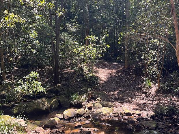 Photo 11 for Twin Creeks Rainforest Retreat