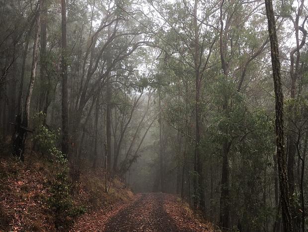 Photo 13 for Twin Creeks Rainforest Retreat