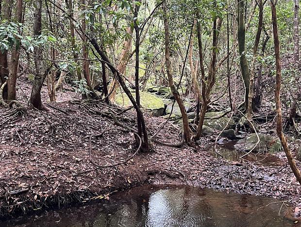 Photo 14 for Twin Creeks Rainforest Retreat