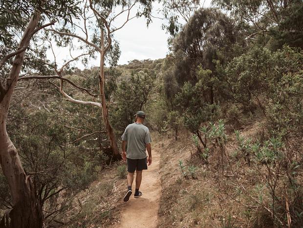 Photo 27 for Tree House in the Otways