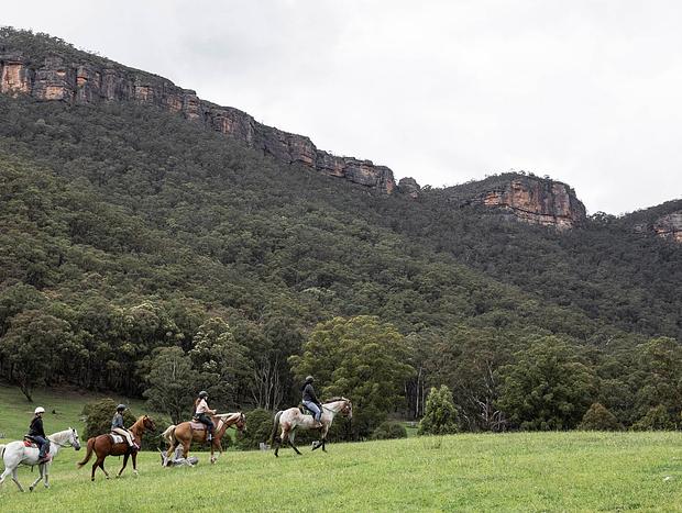 Photo 4 for Mountain Culture Farm Stay (pet friendly)