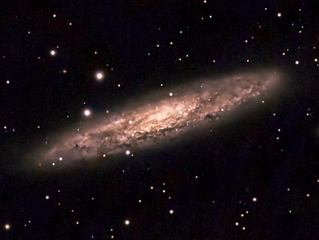 Photo 43 for Kapiti Night Sky Country Barn