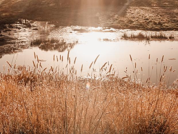 Photo 24 for Down by the Riverlea