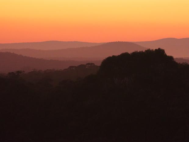 Photo 18 for Heathcote - theYellowBoxWood - Echidna Ridge