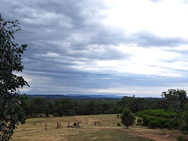 Photo 14 for Heathcote - theYellowBoxWood - Echidna Ridge