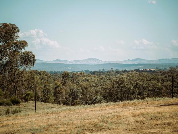 Photo 7 for Heathcote - theYellowBoxWood - Echidna Ridge