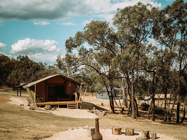 Photo 17 for Heathcote - theYellowBoxWood - Echidna Ridge
